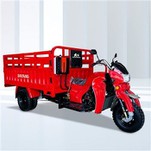 Granmoun 250CC Tricycle machandiz