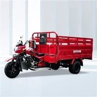 3 Wheels Moto De Carga