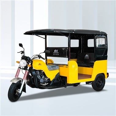 Kago Motorizado Trimoto