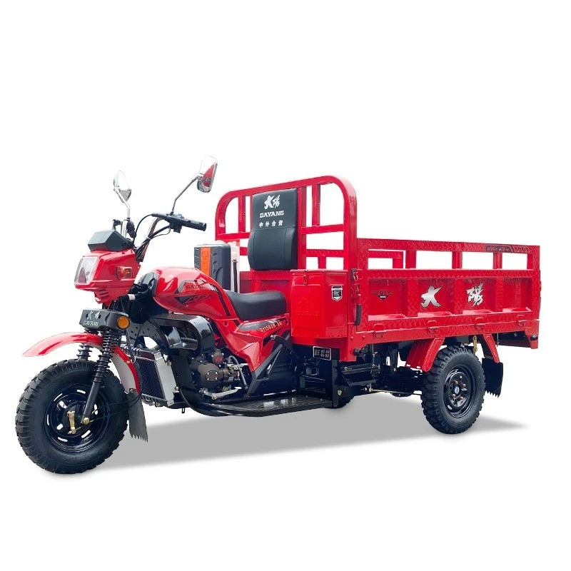 200cc Tricycle Parts Gas Powered Tricycle