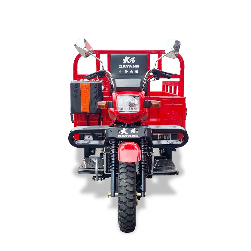 200cc Tricycle Parts Gas Powered Tricycle