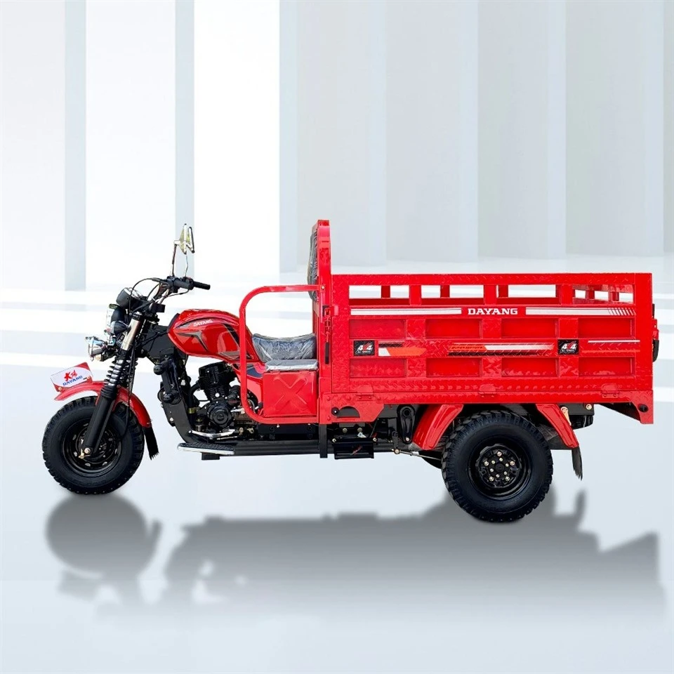 Cargo Motor Tricycle Three Wheel Bike