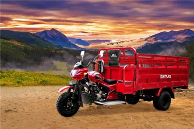 Dayang cho vann kamyon Dayang trisiklèt 3 wou modèl motosiklèt nan Perou ak 200cc/250cc/300cc